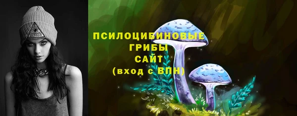 амф Мегион