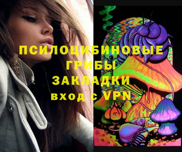 дживик Медногорск