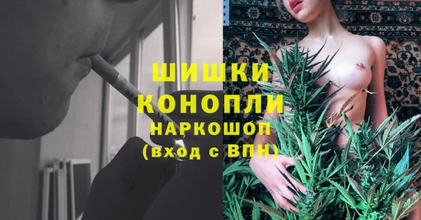 дживик Медногорск