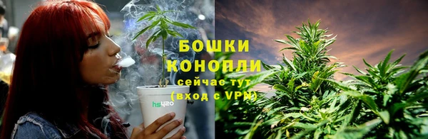 дживик Медногорск