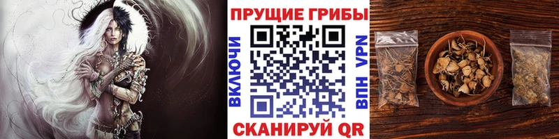 Псилоцибиновые грибы прущие грибы  Магнитогорск 